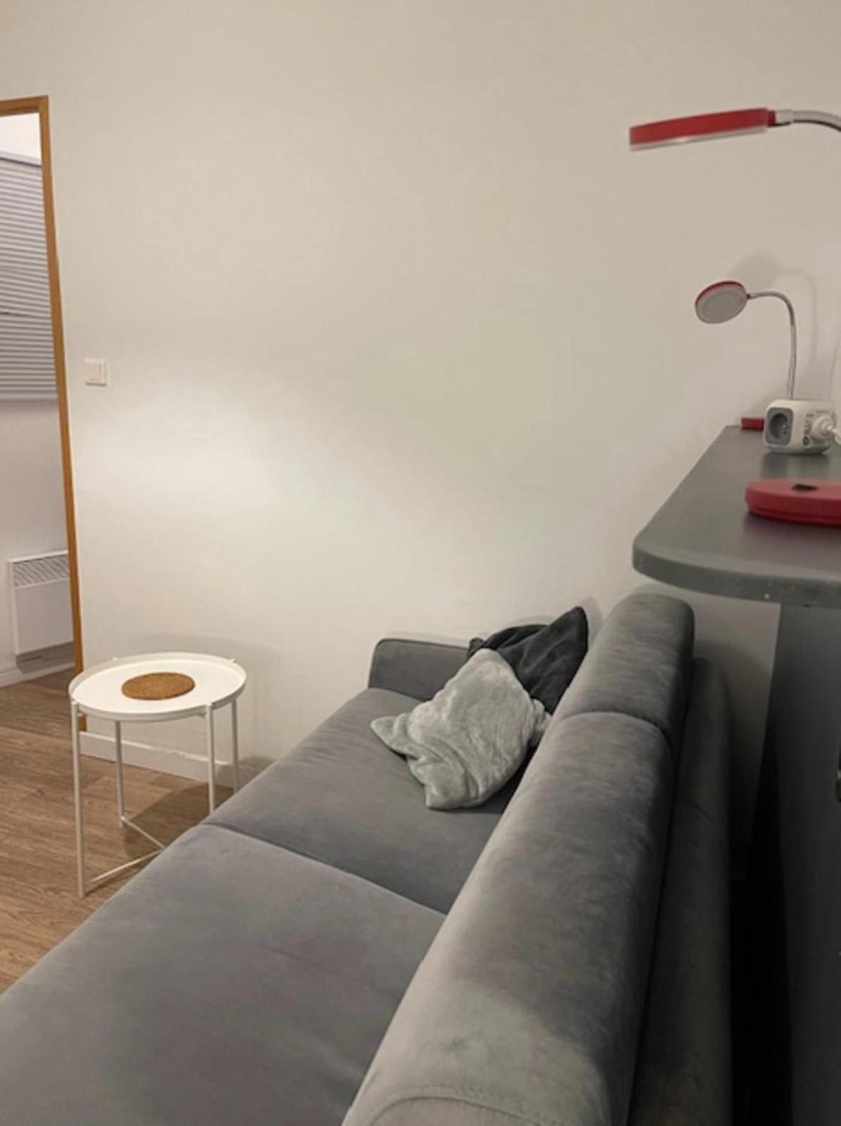 Cosy Studio 16M2 Lyon Bagian luar foto